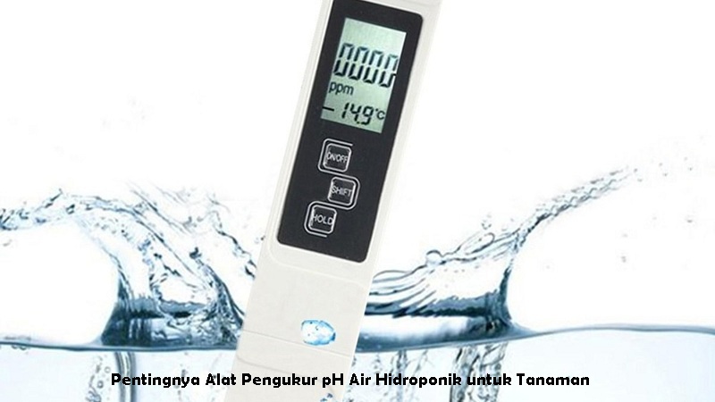Alat Pengukur pH Air Hidroponik