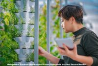Mengetahui Panduan Membangun Sistem Hidroponik Vertikal Secara Mandiri Mengetahui Panduan Membangun Sistem Hidroponik Vertikal Secara Mandiri