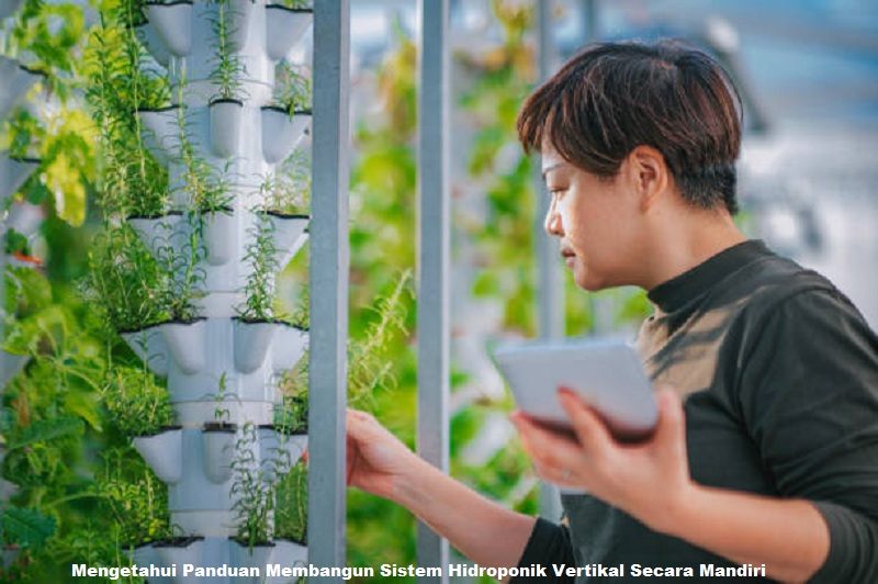 Mengetahui Panduan Membangun Sistem Hidroponik Vertikal Secara Mandiri
