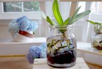 Tanaman Hias Hidroponik Cara Mudah untuk Lahan Terbatas Tanaman Hias Hidroponik Cara Mudah untuk Lahan Terbatas